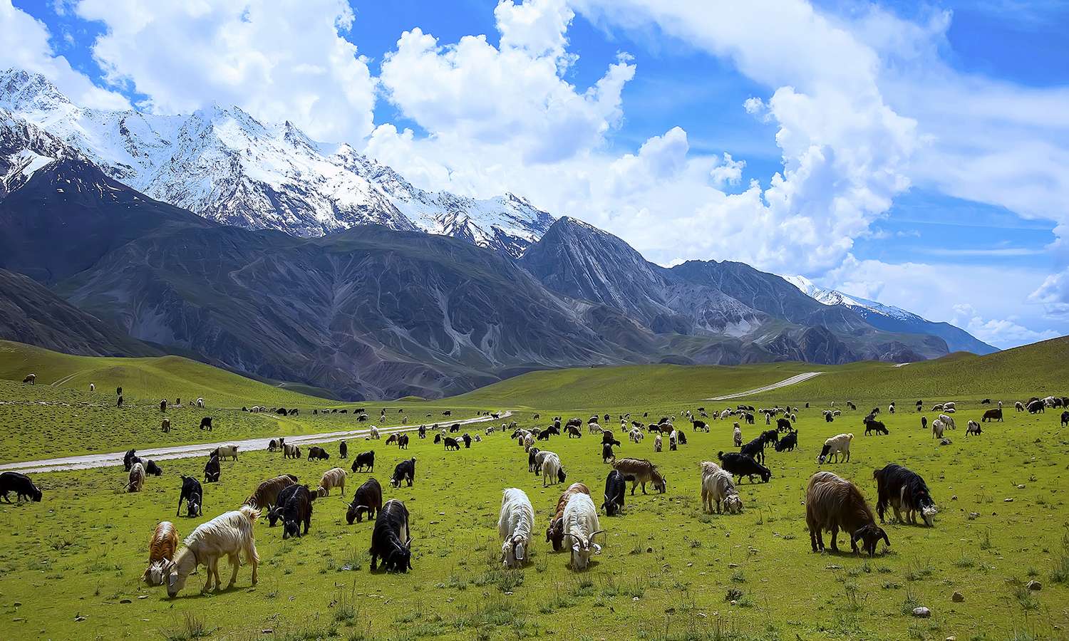 Chitral National Park. — Photo by Tahsin A Shah